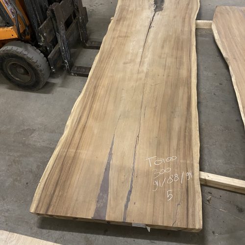 300x91/88/94x5cm | T0100/